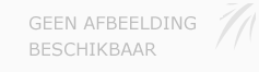 Afbeelding › DansCaro